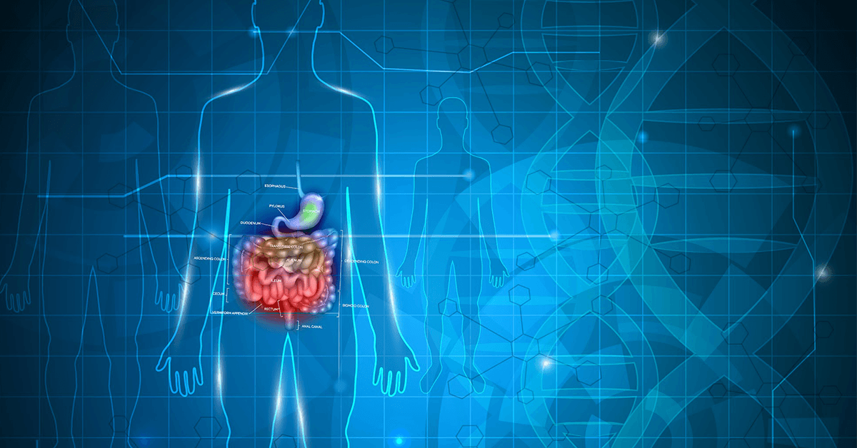 Gastroscopy And Colonoscopy