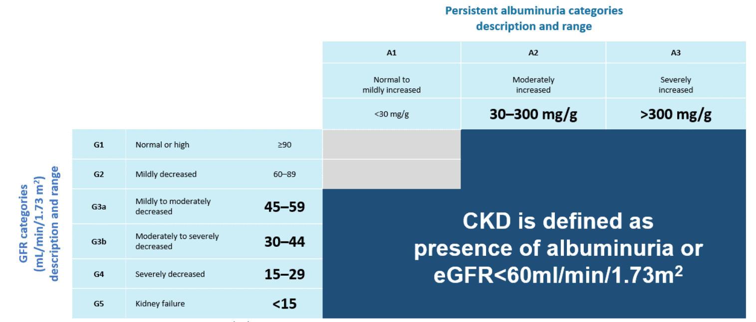 Guide To Chronic Kidney Disease In Singapore. - Health365