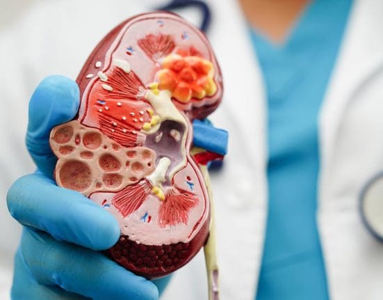 Chronic kidney disease in Singapore