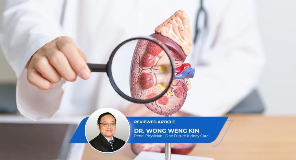Guide Finding Best Kidney Specialist Singapore