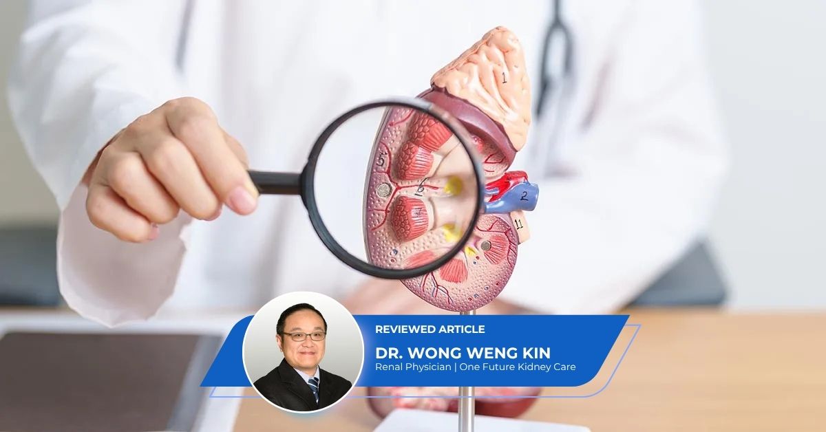 Guide Finding Best Kidney Specialist Singapore