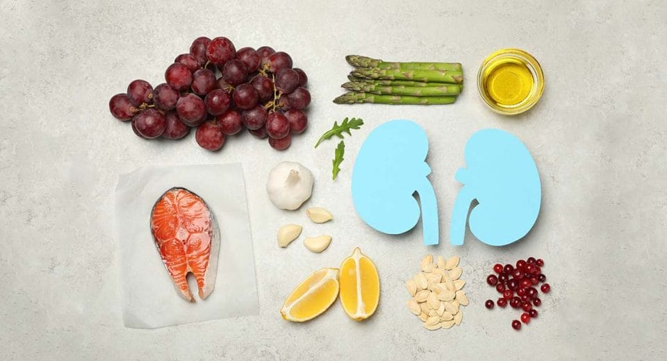 Nutrition for chronic kidney disease