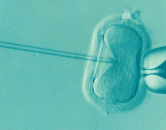 ivf pregnancy in singapore fertility women's health