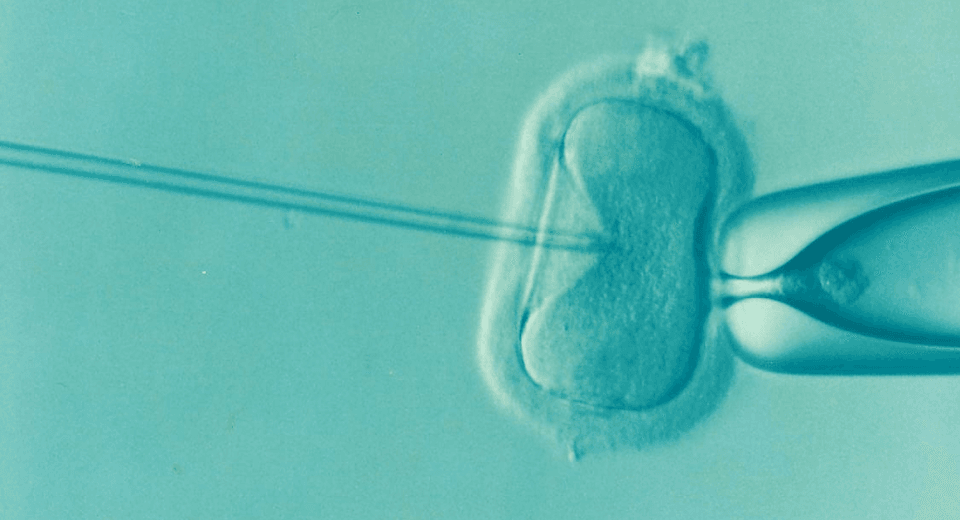 ivf pregnancy in singapore fertility women's health