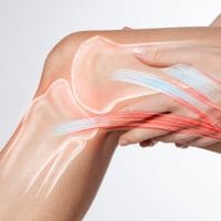 Lower Limbs - Bone And Orthopaedic Health
