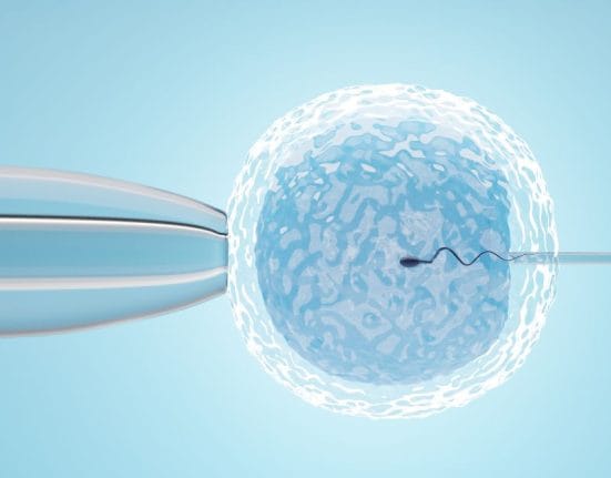 icsi vs ivf