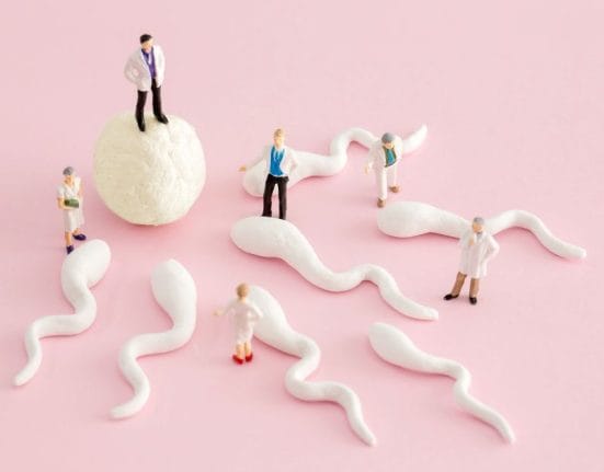 iui vs ivf