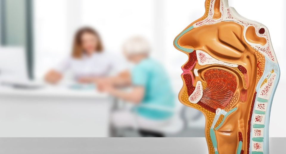 ent specialist singapore price​