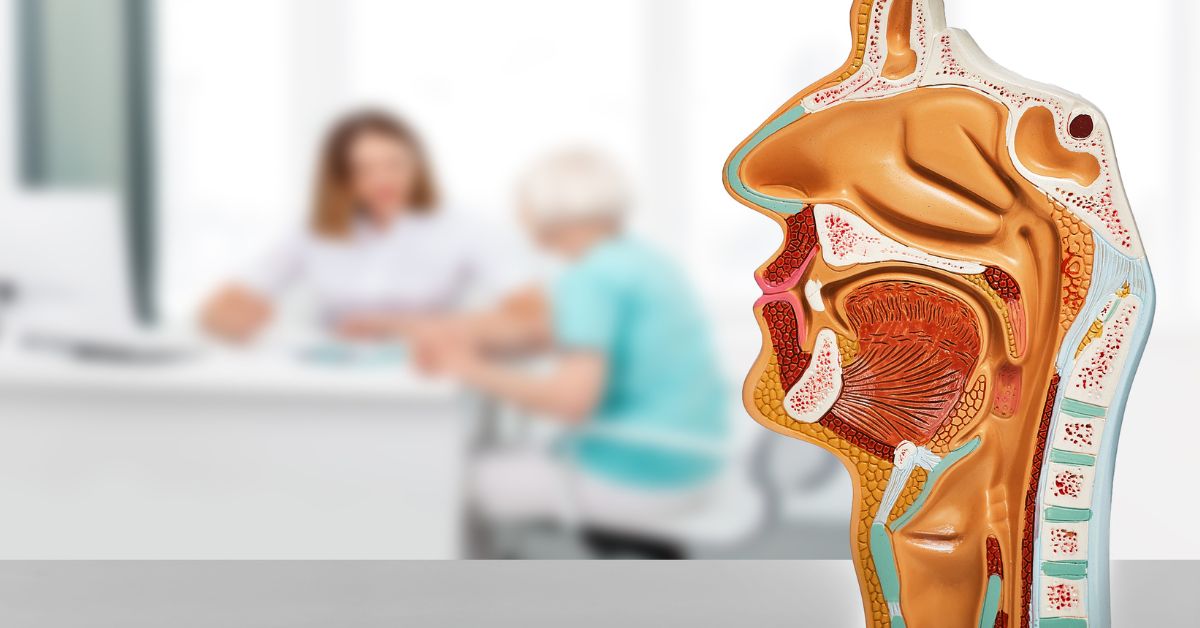 ent specialist singapore price​