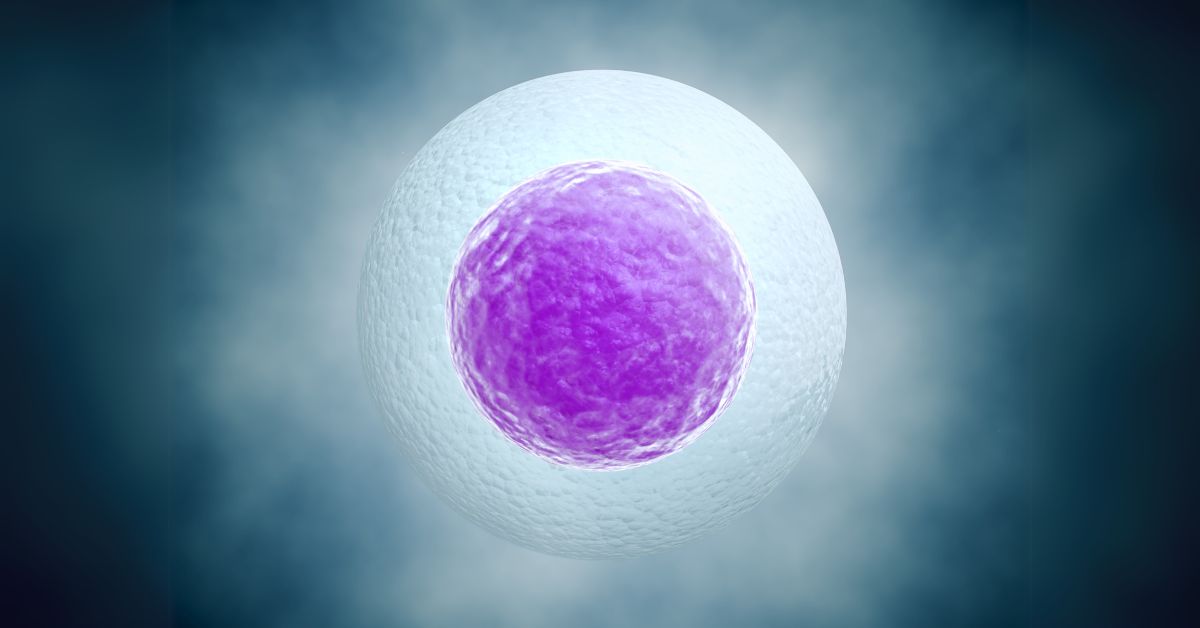 freezing eggs