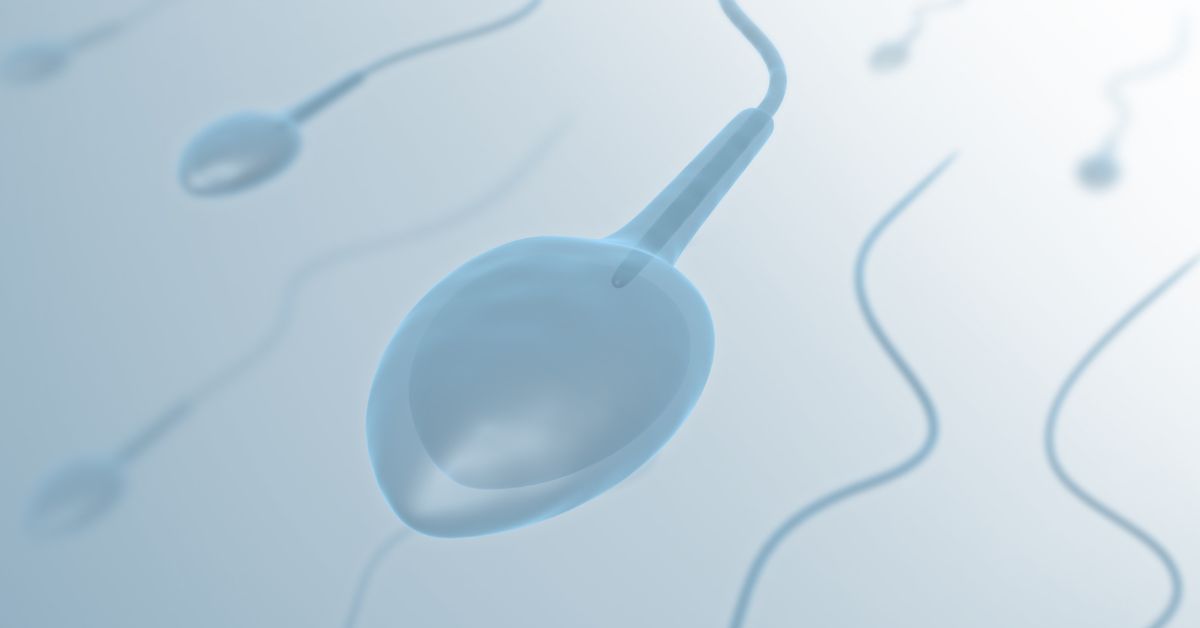 male fertility test singapore