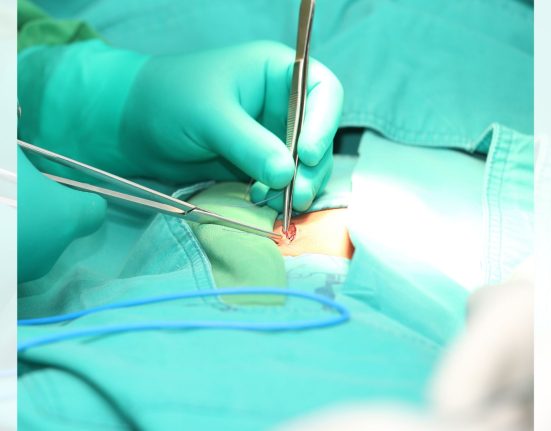 Hernia Repair