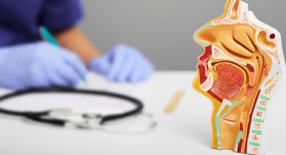 ent head and neck surgery​