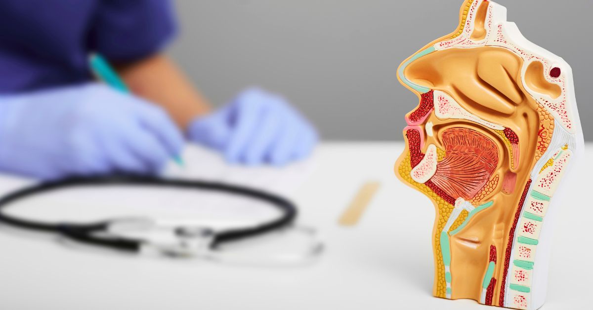 ent head and neck surgery​
