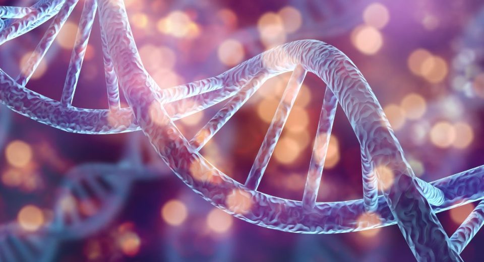 stem cell therapy