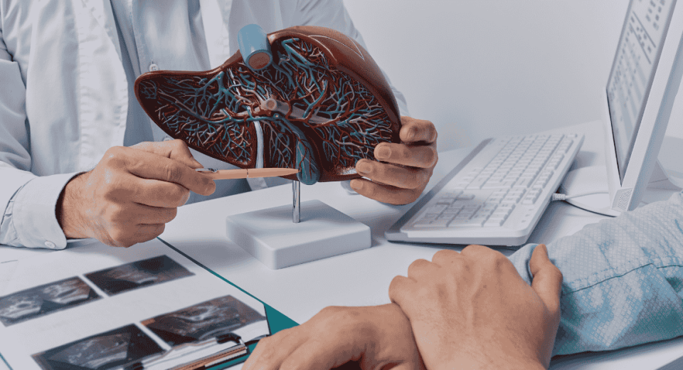 Fatty Liver and Liver Cancer: Key Differences and Warning Signs