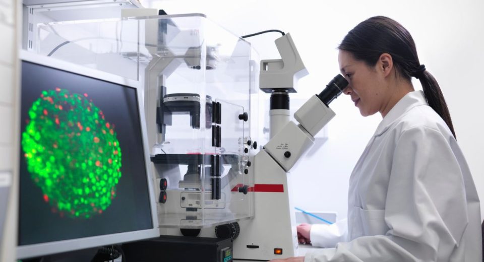 how does stem cell therapy work
