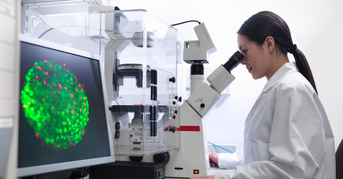 how does stem cell therapy work