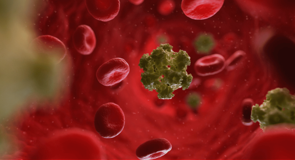 Types of HPV: Which Ones You Should Be Concerned About