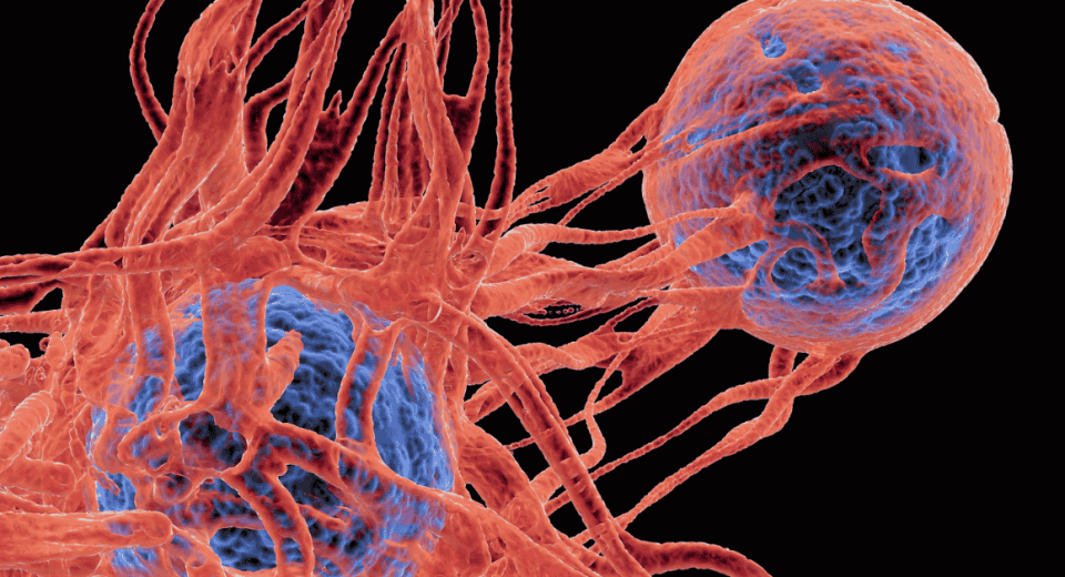 HPV and Anal Cancer: Risks, Prevention, and Screening in Singapore