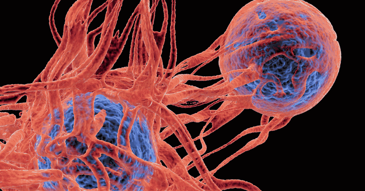 HPV and Anal Cancer: Risks, Prevention, and Screening in Singapore