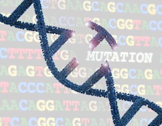 Genetic testing for cancer