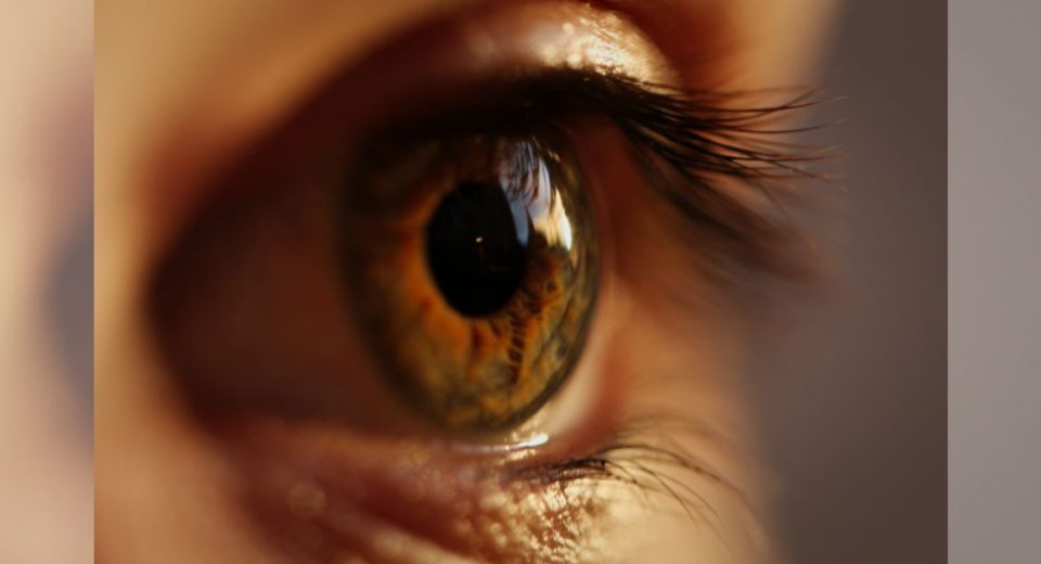 Lutein And Zeaxanthin May Support Eye Health