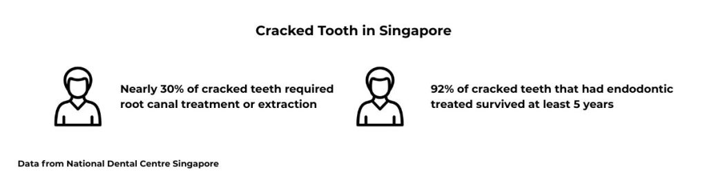Cracked Tooth Big Story Infographics