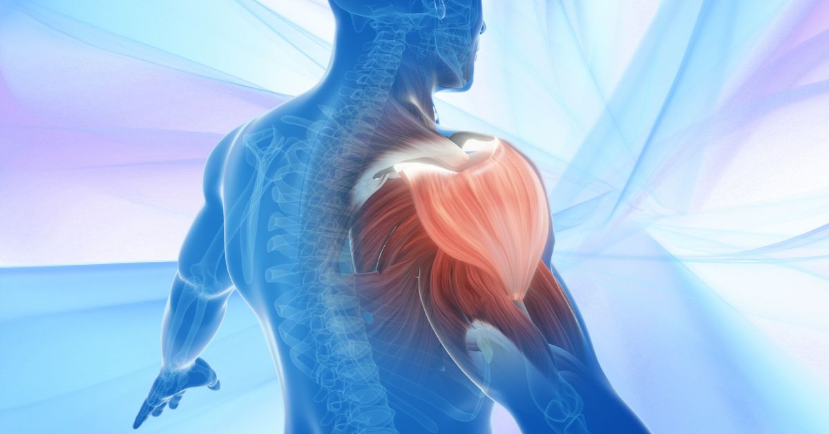 Shoulder Pain Big Story