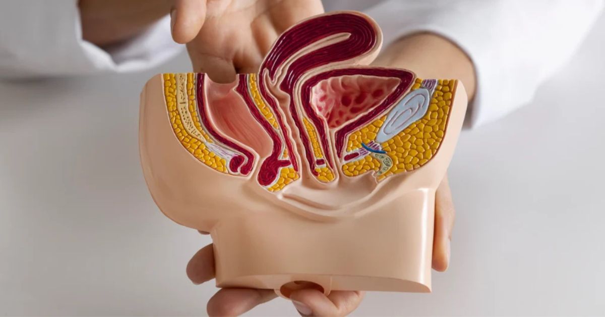 Colorectal Cancer Screening Myths