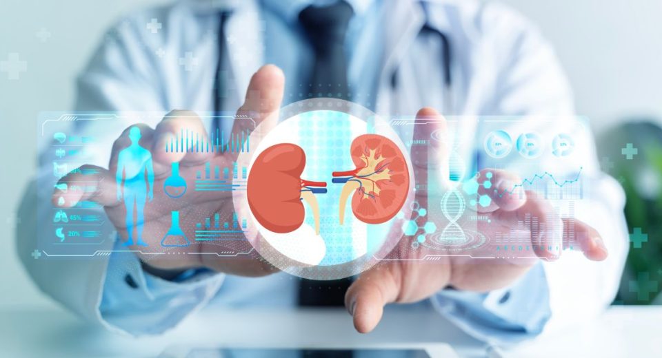 Top kidney specialists for interventional nephrology