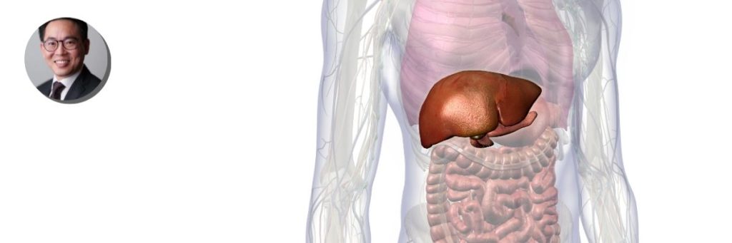 Liver, Pancreas And Gallbladder Conditions Key Visual