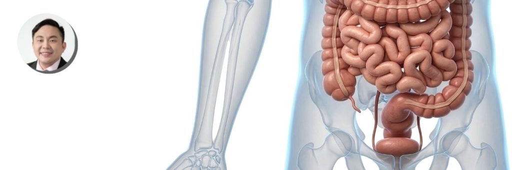 Anorectal Key Visual v2
