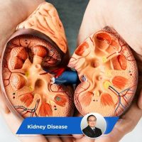 Kidney Disease Guide Keyart