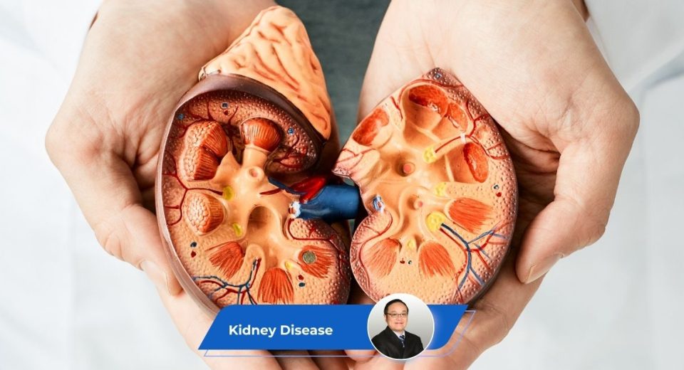 Kidney Disease Guide Keyart