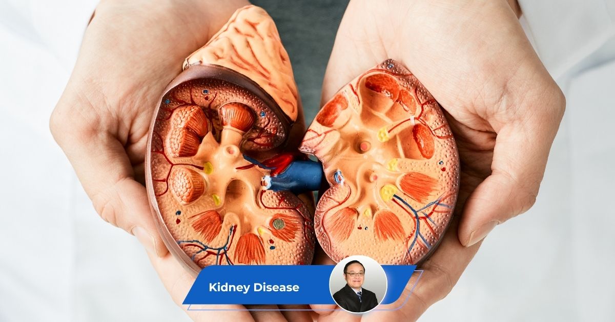 Kidney Disease Guide Keyart