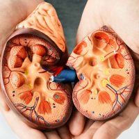 Kidney Disease Guide