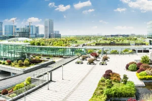 city-park-blue-sky-with-downtown-skyline-background-scaled.webp